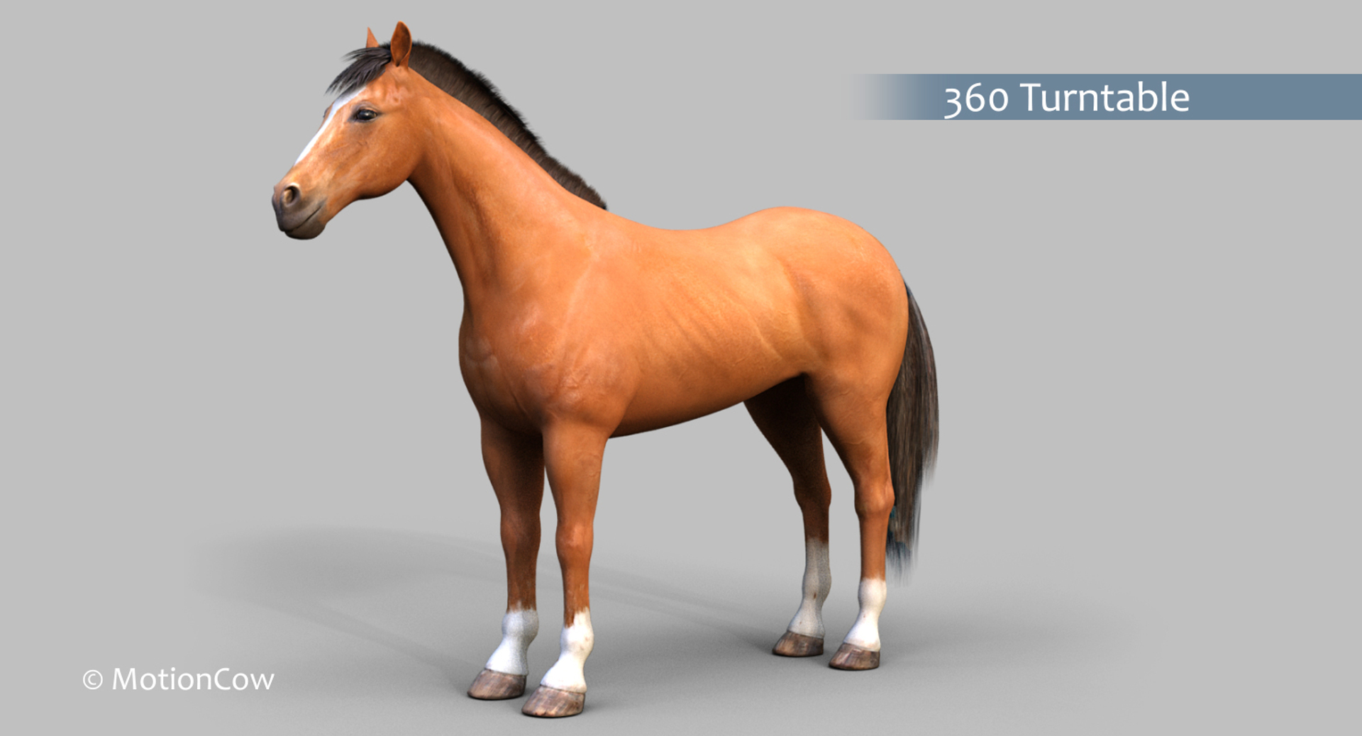 3D brown horse rig https://p.turbosquid.com/ts-thumb/Sj/AOFwsd/fpnoIF5D/brown_horse_rot/jpg/1555904284/1920x1080/turn_fit_q99/3f4153517ff5b4c3ffe41f82fca001be7a7afaea/brown_horse_rot-1.jpg