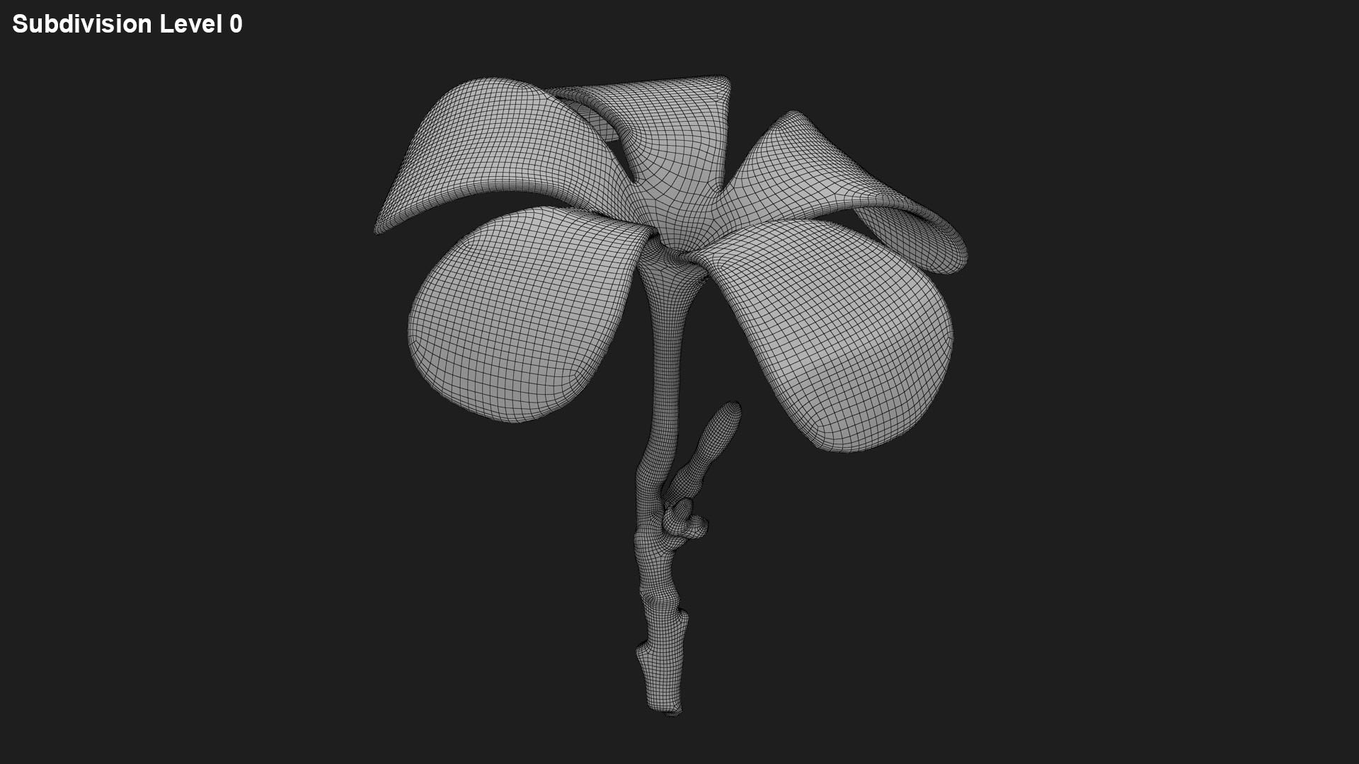 Plumeria Alba 3D https://p.turbosquid.com/ts-thumb/Sj/LR6P4C/XH/plumeriaalba_g0001/jpg/1742121704/1920x1080/fit_q87/df6030984f87ea0fd72916c404f59879036af122/plumeriaalba_g0001.jpg