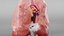 Medical Grade Adult Heart  Lung Anatomy 3D Model blender