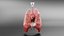 Medical Grade Adult Heart  Lung Anatomy 3D Model blender