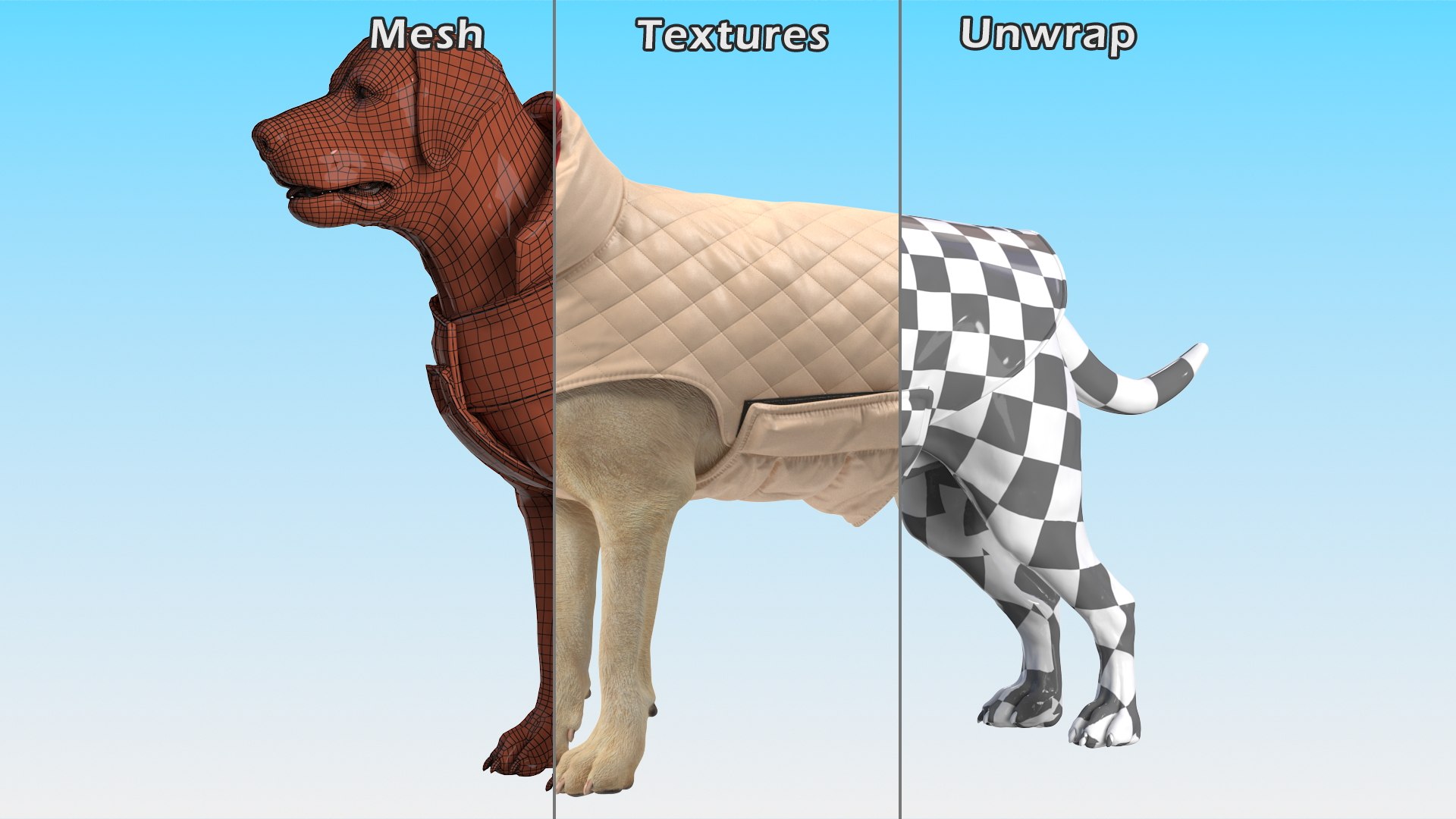 Labrador Wearing Beige Coat(1) 3D model https://p.turbosquid.com/ts-thumb/Sj/WA3F80/bM/labradorwearingbeigecoatc4dmodel017/jpg/1678698127/1920x1080/fit_q87/2e907f47c8c4c676aa6fbacc42f2a59674132640/labradorwearingbeigecoatc4dmodel017.jpg