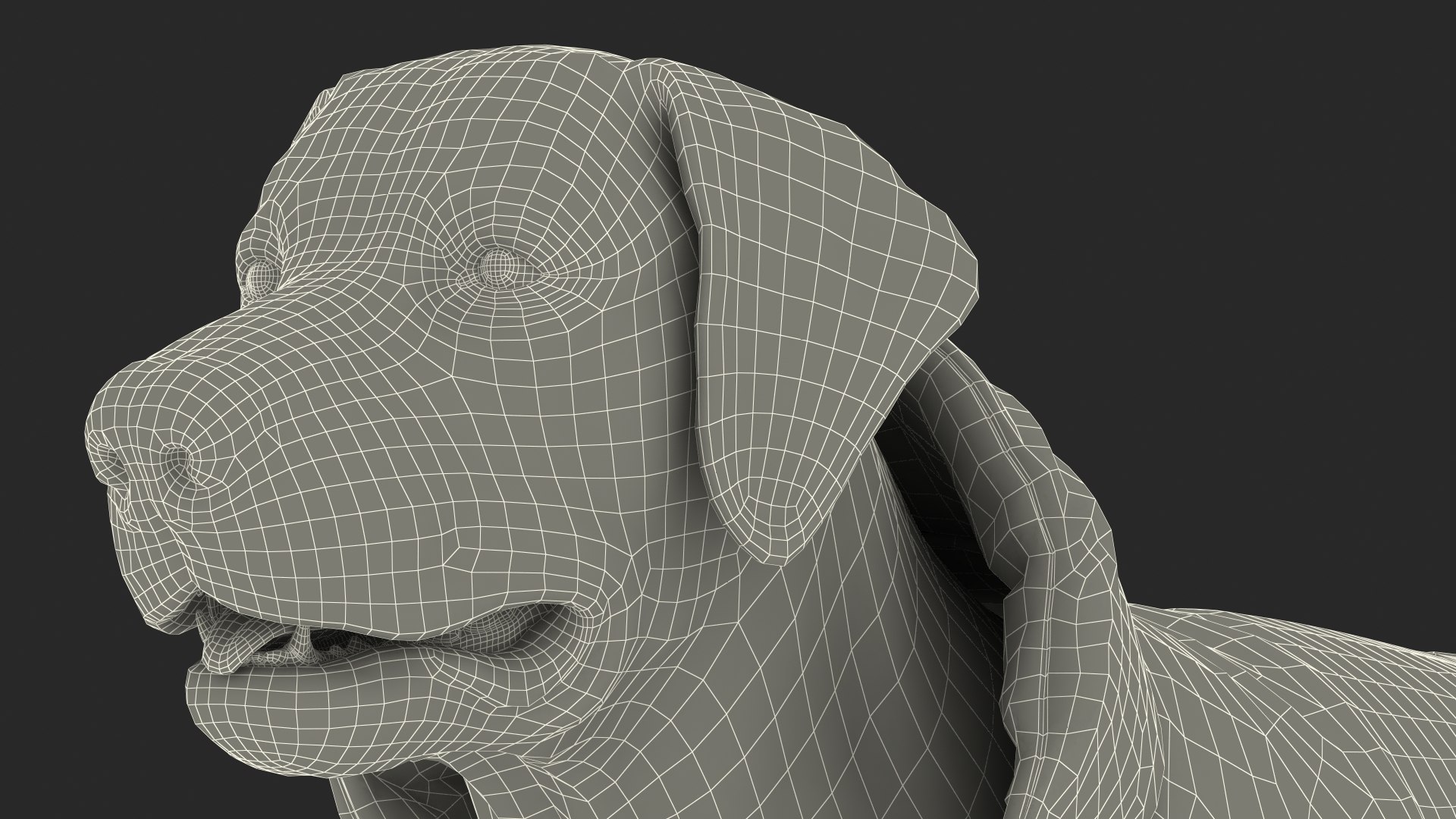 Labrador Wearing Beige Coat(1) 3D model https://p.turbosquid.com/ts-thumb/Sj/WA3F80/mm/labradorwearingbeigecoatc4dmodel031/jpg/1678698170/1920x1080/fit_q87/d9fa172465e6e26d5235334854cb20392984dd10/labradorwearingbeigecoatc4dmodel031.jpg