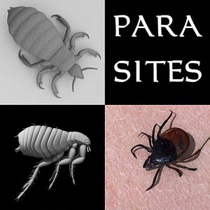 parasites louse tick flea 3ds