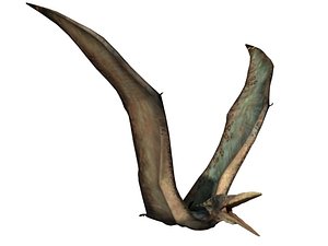 299 Pterodactyloidea Images, Stock Photos, 3D objects, & Vectors