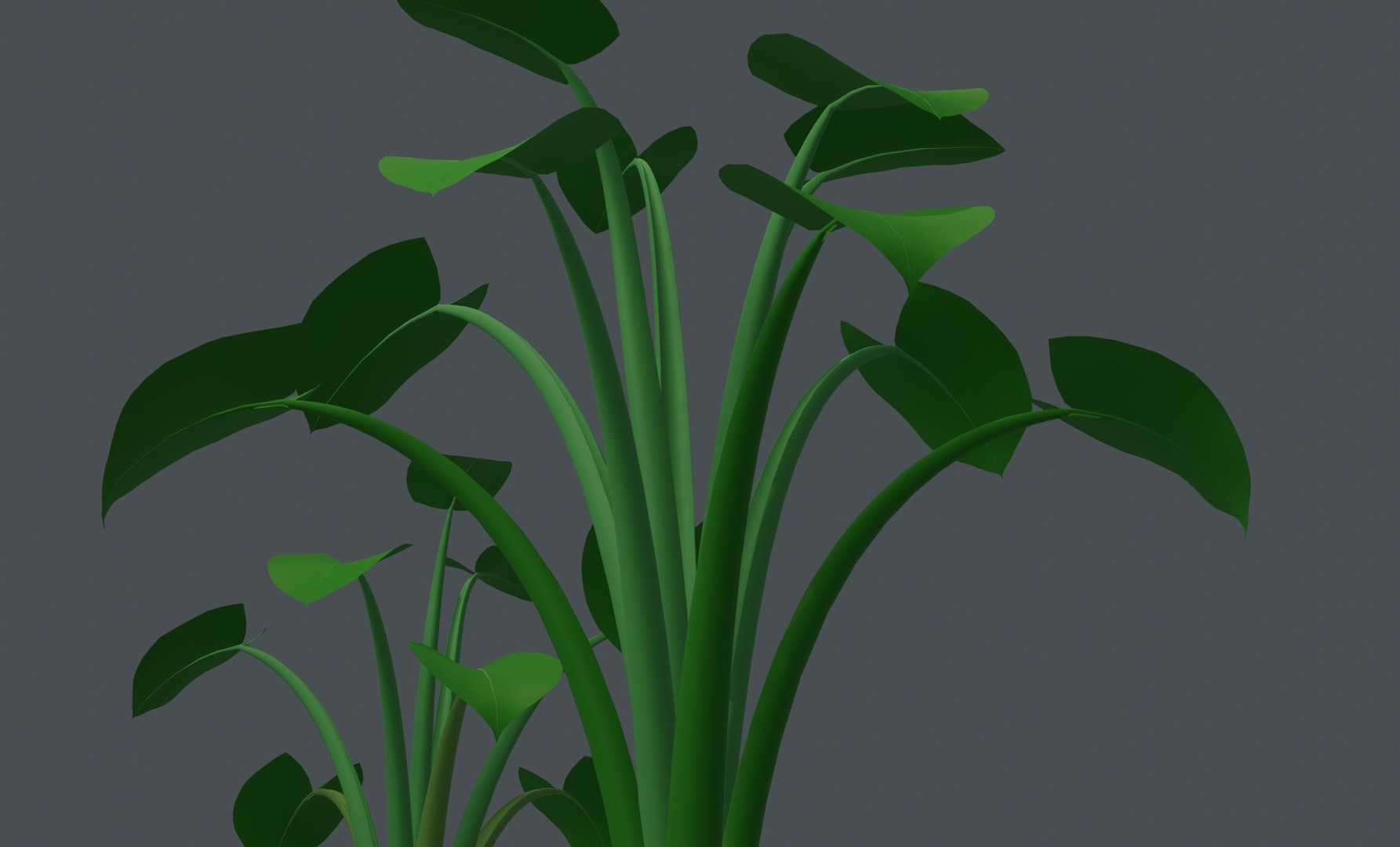 3D Spinach Bush Edible Root https://p.turbosquid.com/ts-thumb/Sk/4vAyOo/M1/spinach6byantor/jpg/1619714815/1920x1080/fit_q87/52d2536084322f1c367655a0f1ae7c2d6898b1bd/spinach6byantor.jpg
