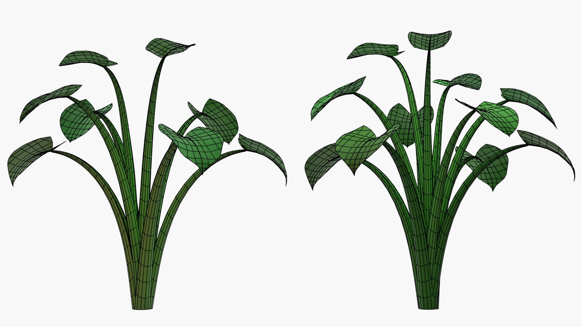 3D Spinach Bush Edible Root https://p.turbosquid.com/ts-thumb/Sk/4vAyOo/Pv/lettuce2021.015uv/jpg/1622746316/1920x1080/fit_q87/64d394cc0f2482630019b9b91fc94f7e50b1f436/lettuce2021.015uv.jpg
