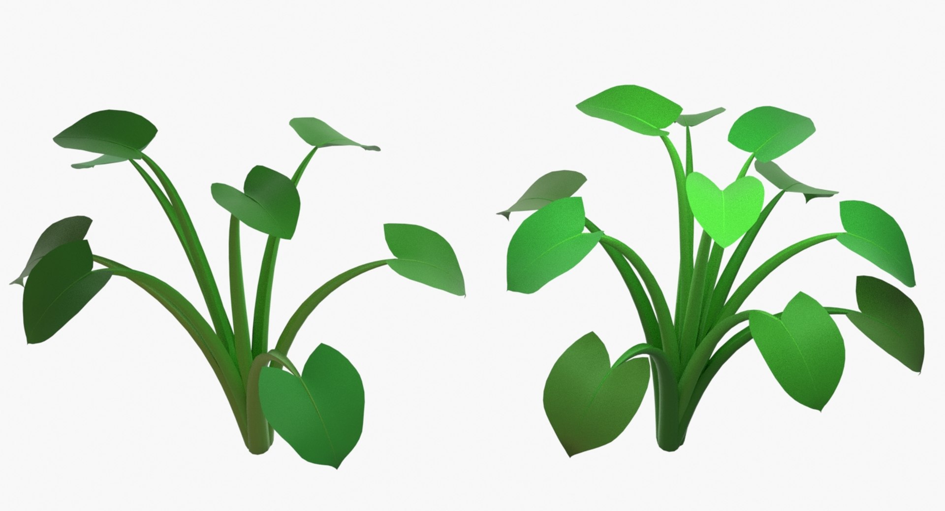 3D Spinach Bush Edible Root https://p.turbosquid.com/ts-thumb/Sk/4vAyOo/Qw/lettuce2021.0152/jpg/1622744246/1920x1080/fit_q87/6374a68afd70c48c6f672683e1301e2ea3390e47/lettuce2021.0152.jpg