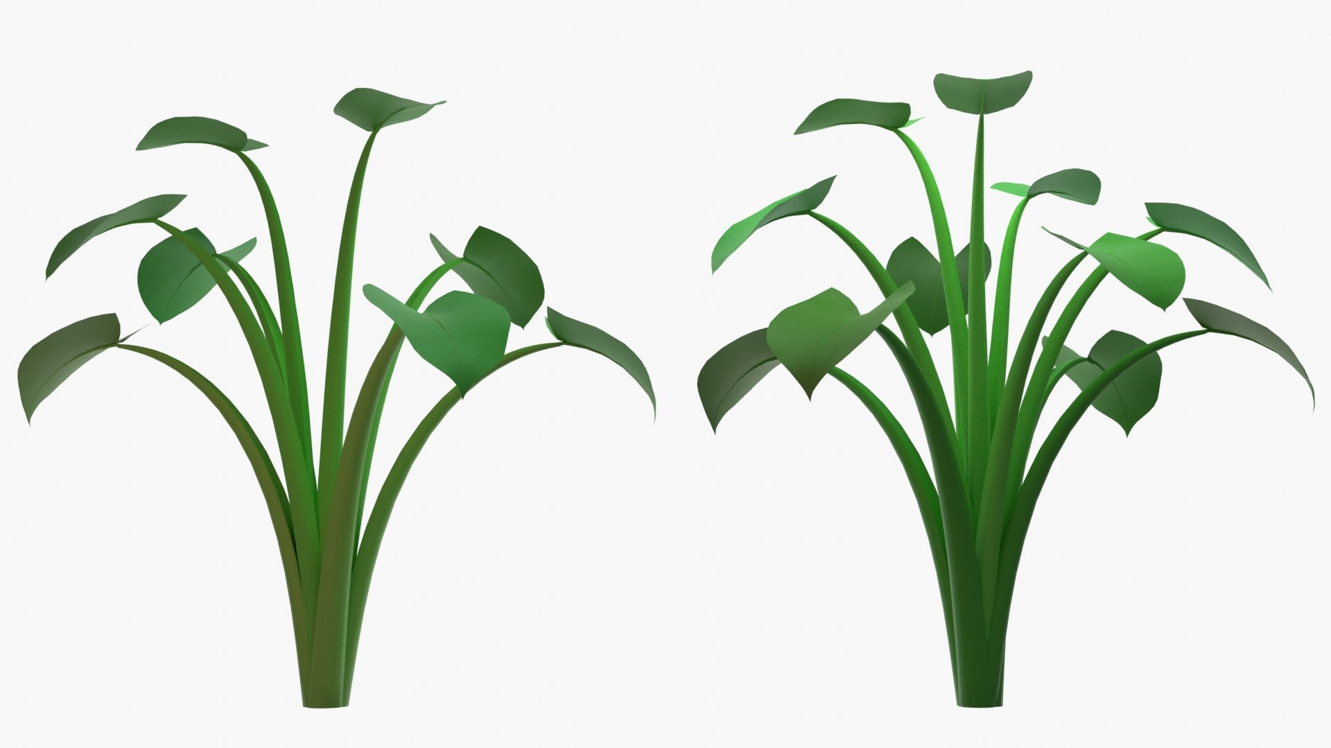 3D Spinach Bush Edible Root https://p.turbosquid.com/ts-thumb/Sk/4vAyOo/Rl/lettuce2021.015rr/jpg/1622747138/1920x1080/fit_q87/e70db383c45bf4975c9e1b4ec4103a38df3067b2/lettuce2021.015rr.jpg