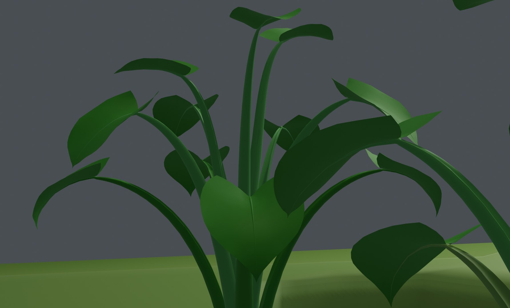 3D Spinach Bush Edible Root https://p.turbosquid.com/ts-thumb/Sk/4vAyOo/oG/spinach4byantor/jpg/1619714819/1920x1080/fit_q87/84d1d2a7e3cba0d1125d1c5e444fb93d25b305d5/spinach4byantor.jpg