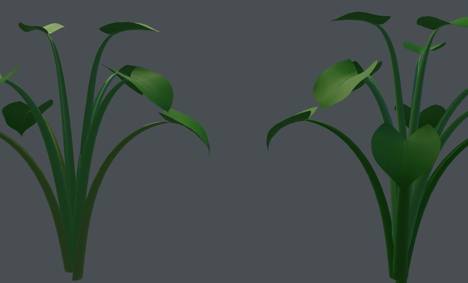3D Spinach Bush Edible Root https://p.turbosquid.com/ts-thumb/Sk/4vAyOo/sM/ezgif.comgifmaker/gif/1619720212/1920x1080/fit_q87/d38a31d3f787fc40b1b197b2bc6cdc24a32f2e99/ezgif.comgifmaker.jpg