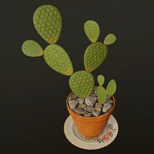 Cactus - PBR Game Ready