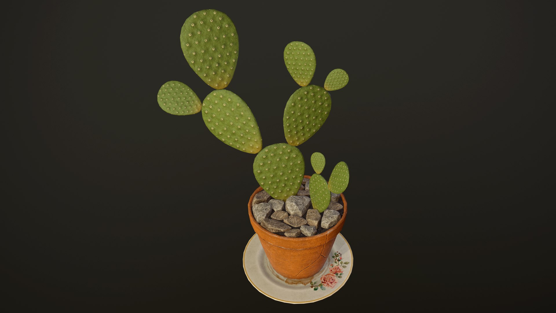 House Plants and Flowers Bundle model https://p.turbosquid.com/ts-thumb/Sk/71nuQd/k2uYuB1P/11/png/1763657354/1920x1080/fit_q87/9029e10190006bb965ca2cdc69dc44d6b108c907/11.jpg