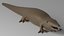 Cartoon Crocodile Alligator