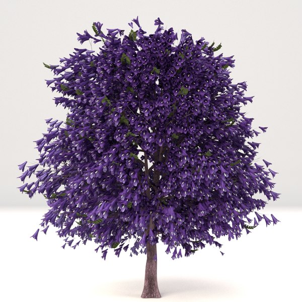 modelo 3d Jacaranda joven y madura - TurboSquid 1418130