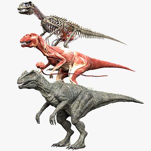 Allosaurus Anatomy 3D