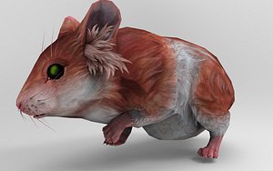 3D Hamster 5 Animations