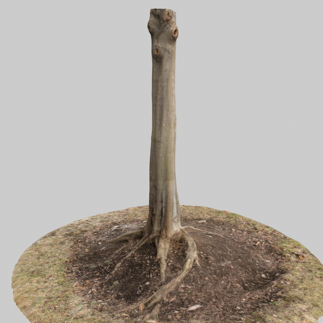 3d max tree trunk https://p.turbosquid.com/ts-thumb/Sk/tgZDsF/HiWNUAop/360/jpg/1488202874/1920x1080/turn_fit_q99/413158b969a3def0f31dcf3b370759e6012facff/360-1.jpg