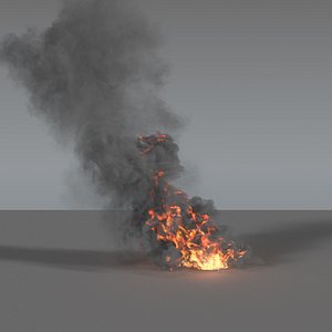 3D model smoke column vdb