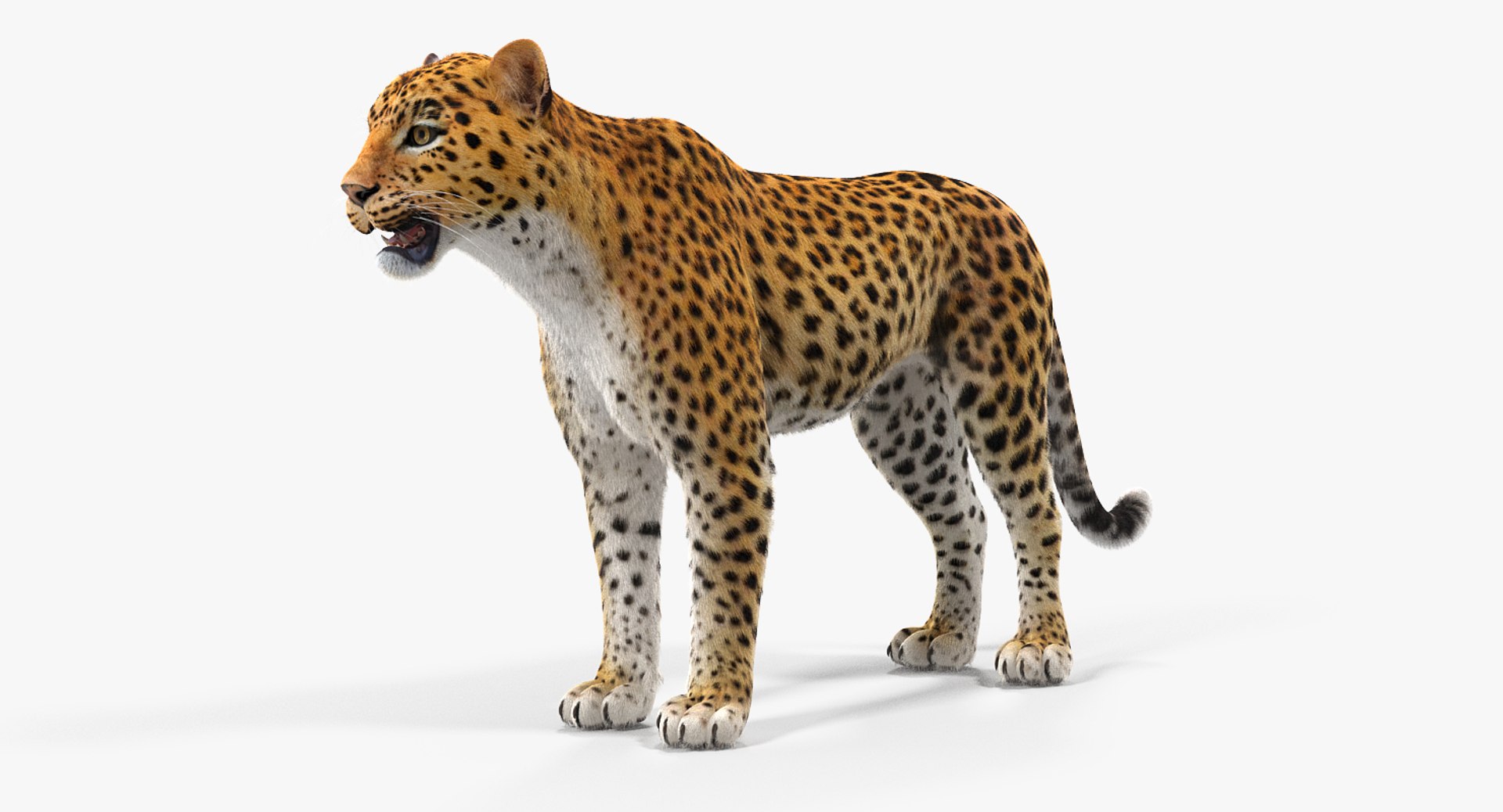 african animals 2 3D model https://p.turbosquid.com/ts-thumb/Sl/321h36/1CTbMznC/africananimalscollection2mb3dmodel010/jpg/1536908302/1920x1080/fit_q87/215bec250bbfb2aaf7b9dd1d656746d99be74b8e/africananimalscollection2mb3dmodel010.jpg