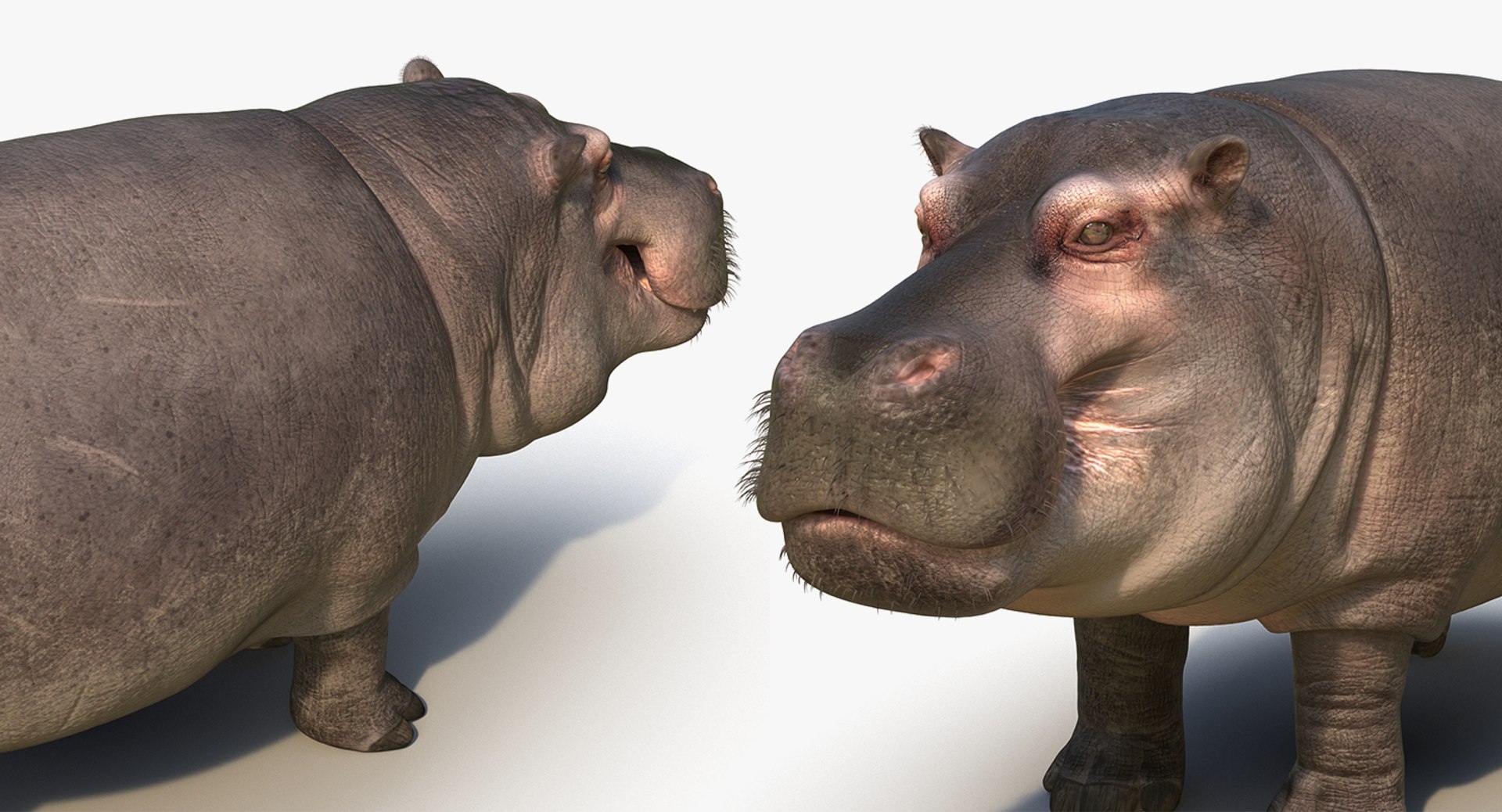african animals 2 3D model https://p.turbosquid.com/ts-thumb/Sl/321h36/LUVcl12y/africananimalscollection2mb3dmodel031/jpg/1536908303/1920x1080/fit_q87/ab7982c7f7f22ad638e896ae64125e37d243d9d9/africananimalscollection2mb3dmodel031.jpg