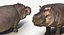 Collection Animaux d'Afrique 2