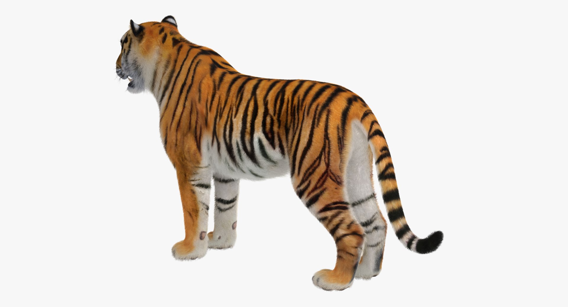 african animals 2 3D model https://p.turbosquid.com/ts-thumb/Sl/321h36/MAuhTwCH/africananimalscollection2mb3dmodel019/jpg/1536908302/1920x1080/fit_q87/da4a82b7f71232efab67f2096d67db043025ce21/africananimalscollection2mb3dmodel019.jpg