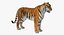 Collection Animaux d'Afrique 2