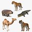 Collection Animaux d'Afrique 2