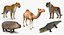 Collection Animaux d'Afrique 2