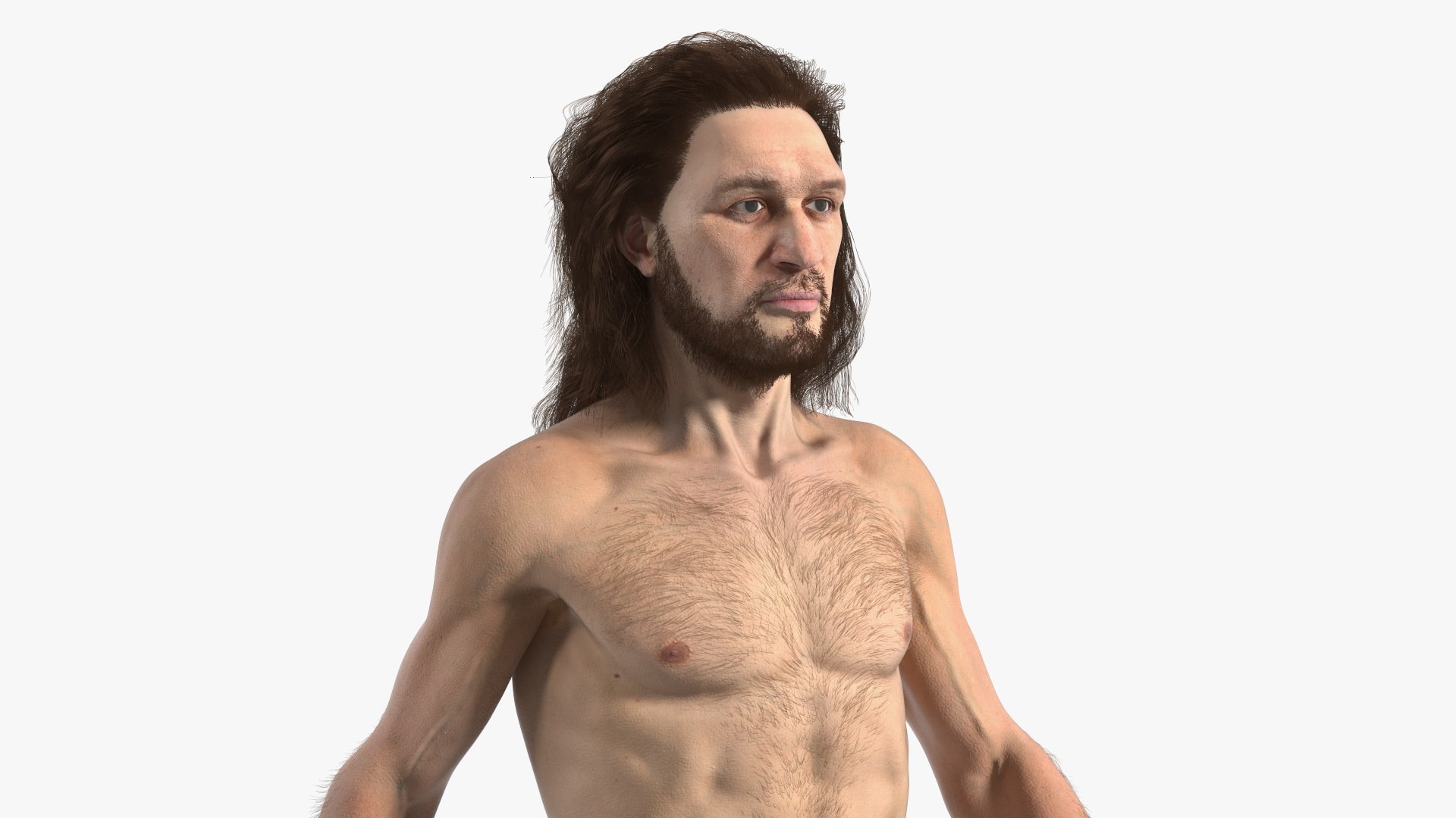 Homo Sapiens Walking Fur 3D model preview
