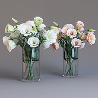 Eustoma