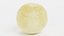 Old World Swallowtail Egg