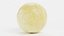 Old World Swallowtail Egg