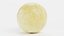 Old World Swallowtail Egg