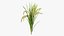 Planta de arroz