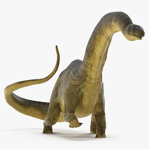 Apatosaurus Dinosaur Walking Pose 3D Model