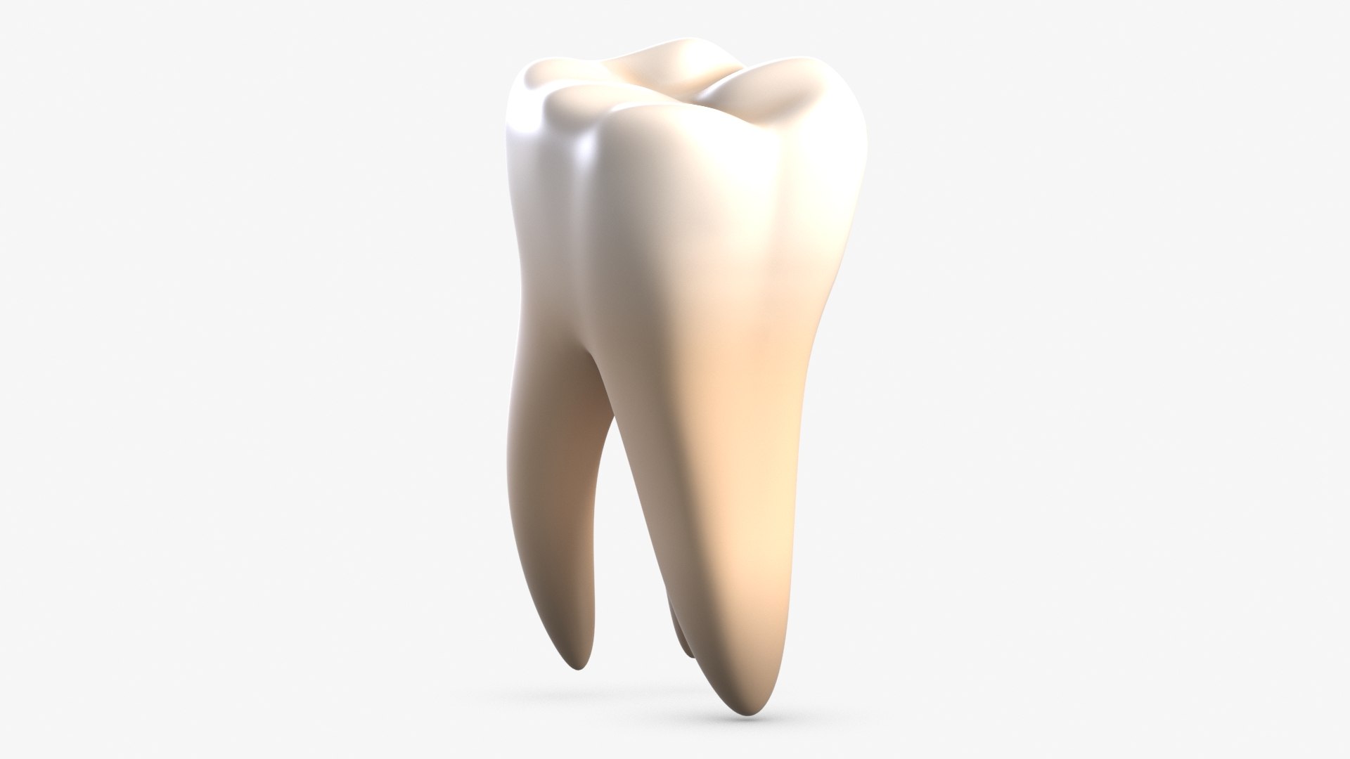3D tooth 2 model https://p.turbosquid.com/ts-thumb/Sl/KYIXGW/EZcWxN7a/1_beauty_tooth_camera004_001/jpg/1568376372/1920x1080/fit_q87/322f86972c489a36462a396c1e30534044c25d7f/1_beauty_tooth_camera004_001.jpg