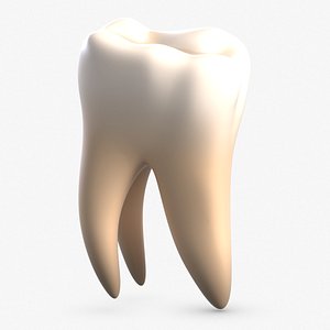 3D tooth 2 model
