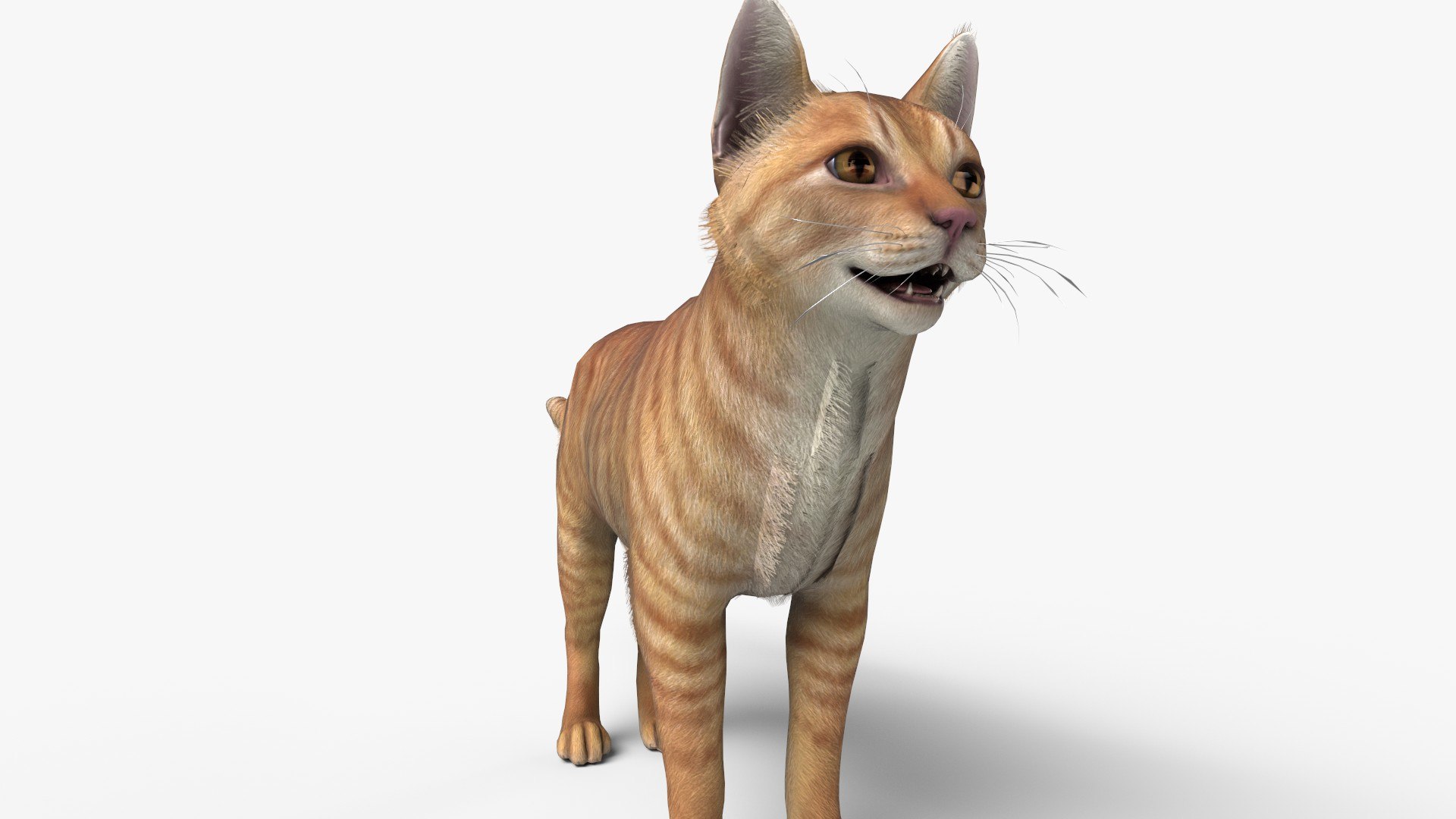 3D Cat Red Tabby Model - TurboSquid 2161526