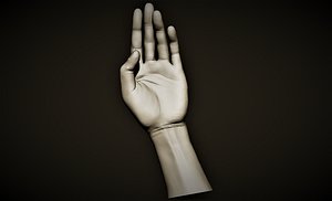 hand offering open 3D model