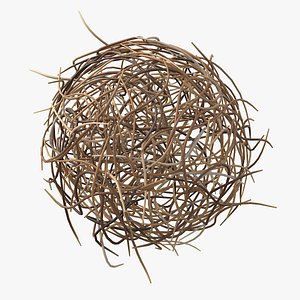 Cartoon Tumbleweed 01