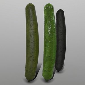 cucumber ready games 3D model
