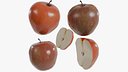 Gala Apple