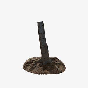 3D Anydrafts Abies fabri Trunk 04