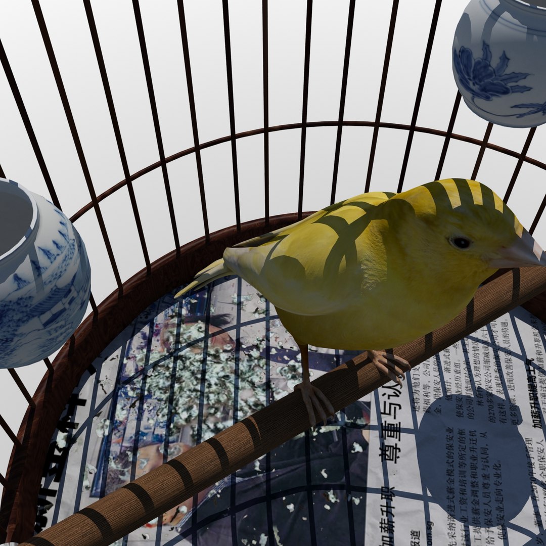 3ds max chinese bird cage canary https://p.turbosquid.com/ts-thumb/Sl/qzV8Op/2zHQBU2q/birdcage7/jpg/1445099165/1920x1080/fit_q87/1976691b954c3894a856dbb01cd62e971510d4ec/birdcage7.jpg