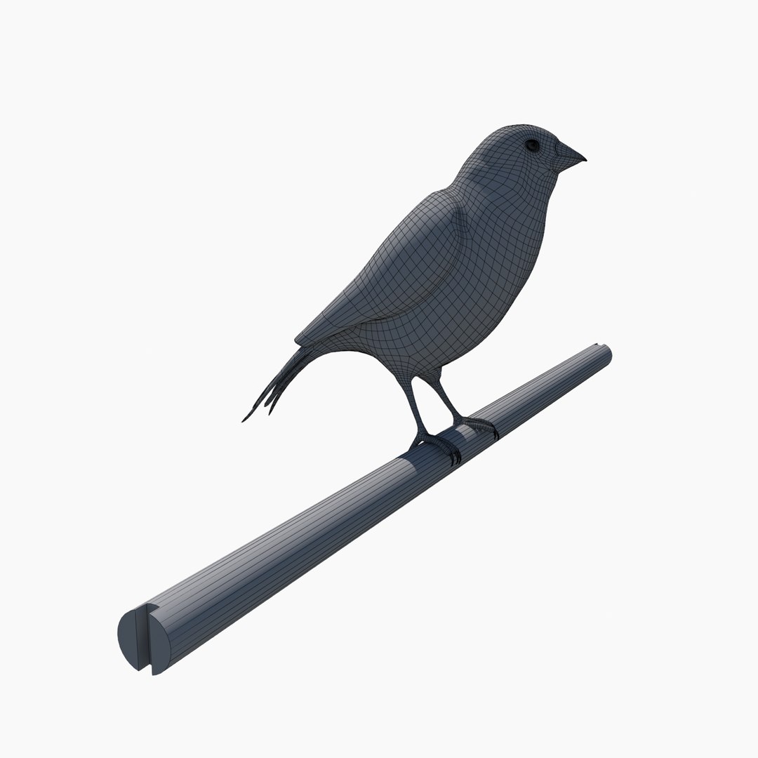 3ds max chinese bird cage canary https://p.turbosquid.com/ts-thumb/Sl/qzV8Op/Hyw3HCjy/birdcage9/jpg/1445099165/1920x1080/fit_q87/35fbebcb045e30df194ca8e2c78e6d5e6be067eb/birdcage9.jpg
