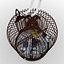 Bird Cage and Canary