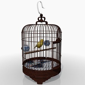 Bird Cage and Canary