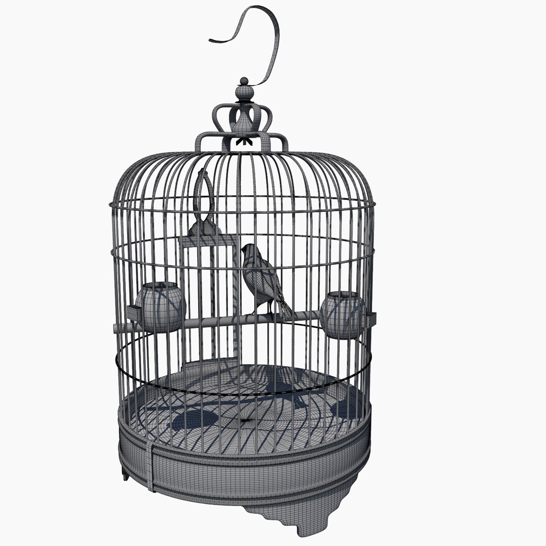 3ds max chinese bird cage canary https://p.turbosquid.com/ts-thumb/Sl/qzV8Op/RH1JrDIu/birdcage8/jpg/1445099165/1920x1080/fit_q87/da5914649dd0c3e5cdd5ab7246d08bdf4a9f48be/birdcage8.jpg