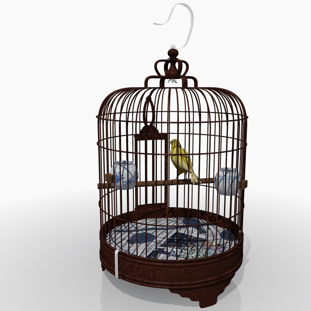 3ds max chinese bird cage canary https://p.turbosquid.com/ts-thumb/Sl/qzV8Op/WWbS0HZd/birdcage5/jpg/1445099165/1920x1080/fit_q87/52303650b58b32577ec713d3837a8640a8223448/birdcage5.jpg